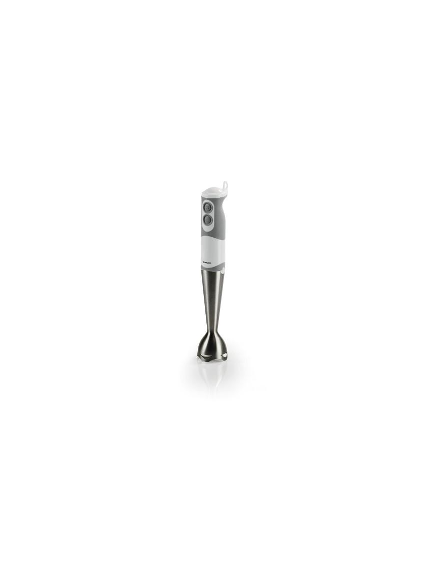 500 WATT IMMERSION MIXER