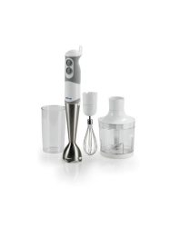 MIXER IMMERSIONE 500W CON ACCESSORI
