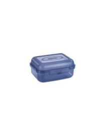 CONTENITORE 12.9x9.3x6 CENTIMETRI TRASPARENTE AZZURRO