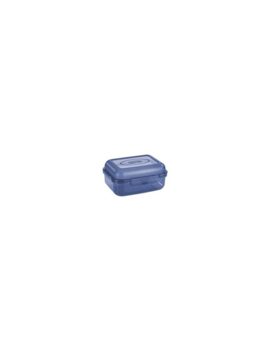 CONTENITORE 12.9x9.3x6 CENTIMETRI TRASPARENTE AZZURRO