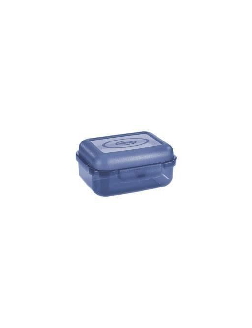 CONTAINER 12.9x9.3x6 CENTIMETERS TRANSPARENT BLUE