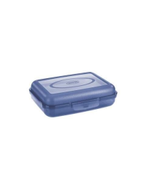 CONTENITORE 16.5x12.5x5 CENTIMETRI TRASPARENTE/AZZURRO