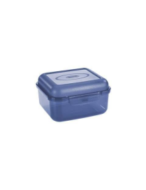CONTENITORE 13.5x12.2x8 CENTIMETRI TRASPARENTE/AZZURRO