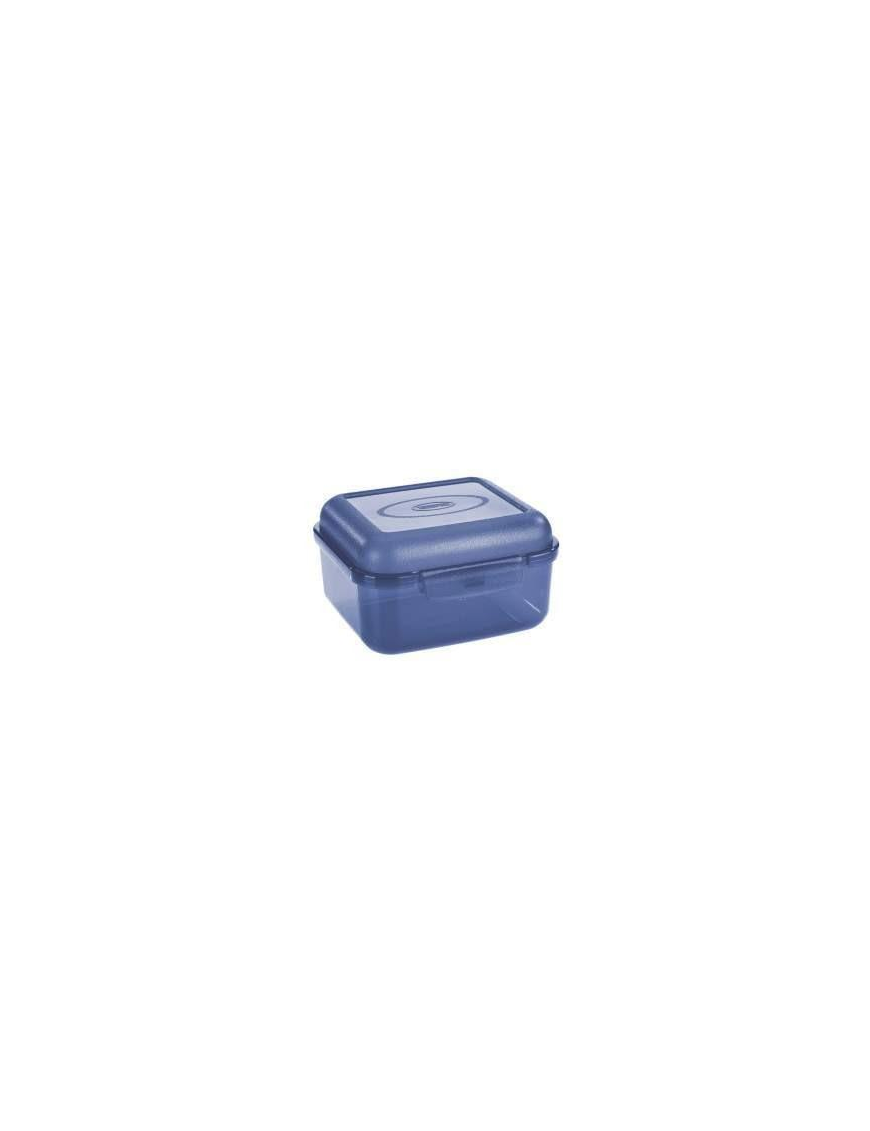 CONTAINER 13.5x12.2x8 CENTIMETERS TRANSPARENT/LIGHT BLUE