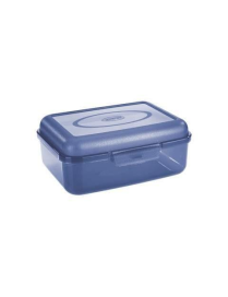 CONTENITORE 18.5x14x8 CENTIMETRI TRASPARENTE AZZURRO