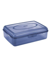 CONTENITORE 29.5x20x8.6 CENTIMETRI TRASPARENTE/AZZURRO