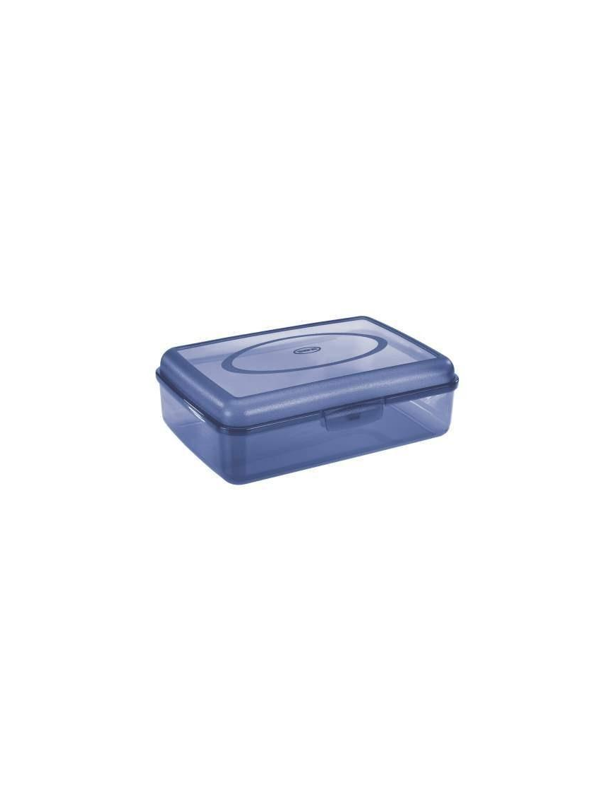 CONTAINER 29.5x20x8.6 CENTIMETERS TRANSPARENT/LIGHT BLUE