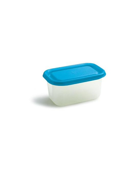 FRIGOCHEF RECTANGULAR CONTAINER 0.55lt