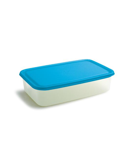 FRIGOCHEF RECTANGULAR CONTAINER 2.70lt