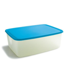FRIGOCHEF CONTENITORE RETTANGOLARE 10lt