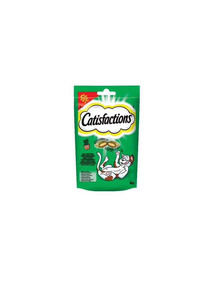 CATISFACTIONS CATNIP 60 GRAMS