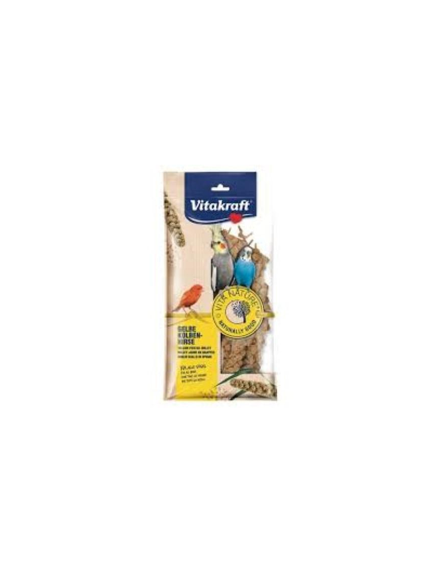 PET LINE VITA NATURE SPIGA PANIC 100 GRAMS