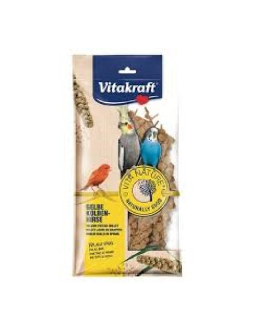 PET LINE VITA NATURE SPIGA PANIC 100 GRAMS