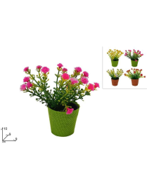 PIANTINA CON FIORI COLORATI 10 CM