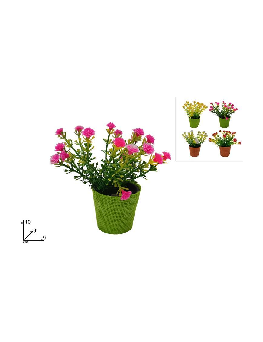PIANTINA CON FIORI COLORATI 10 CM