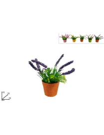 PIANTINA CON FIORI LAVANDA 15 CM