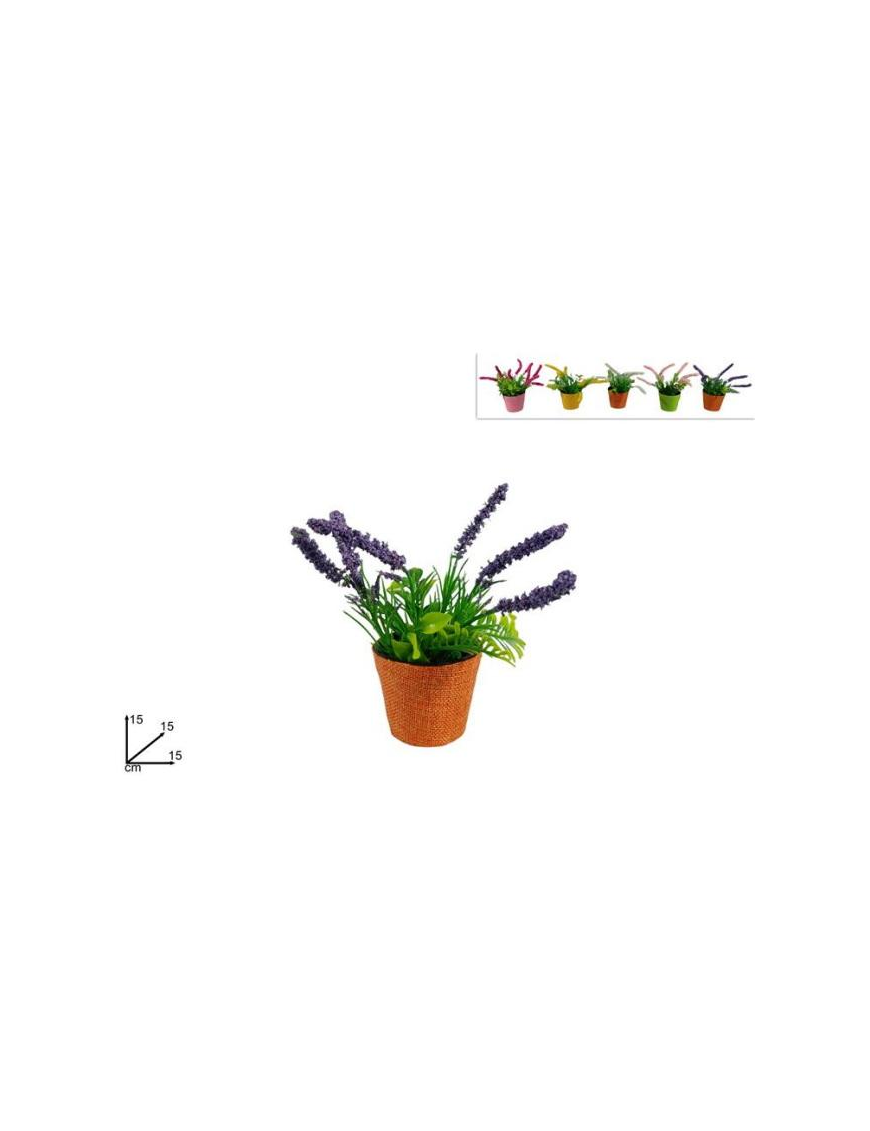 PIANTINA CON FIORI LAVANDA 15 CM