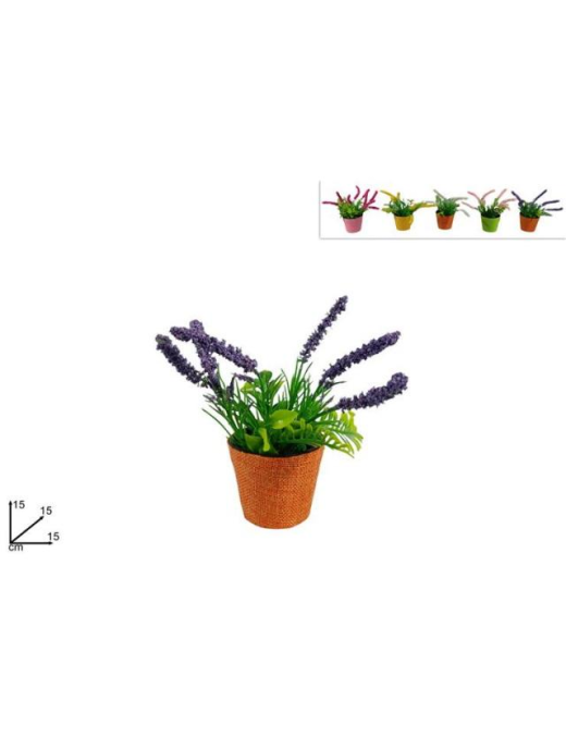 PLANT WITH LAVENDER FLOWERS 15cm