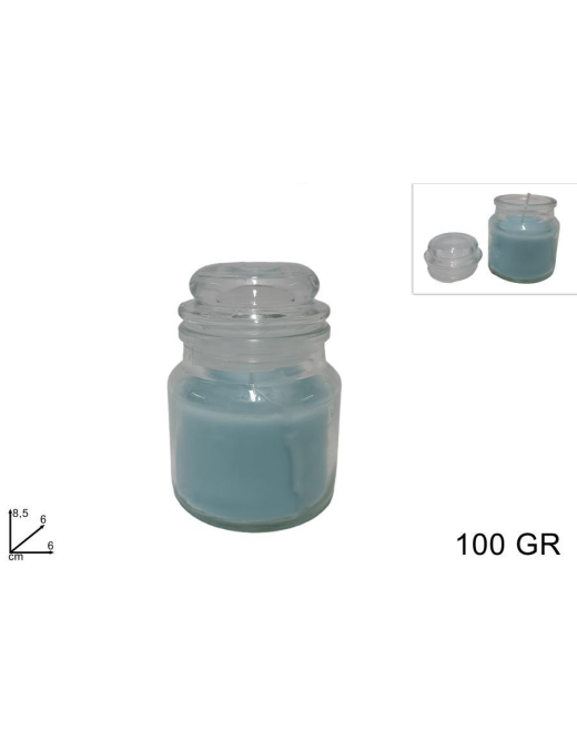 CANDELA PROFUMATA OCEAN 100gr IN GIARA