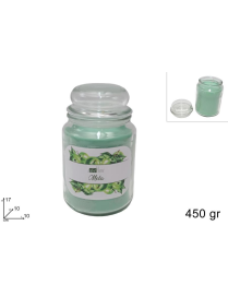 CANDELA PROFUMATA MELA 450gr IN GIARA