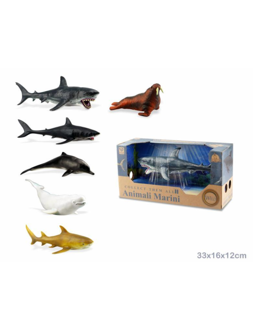 ANIMALI MARINI