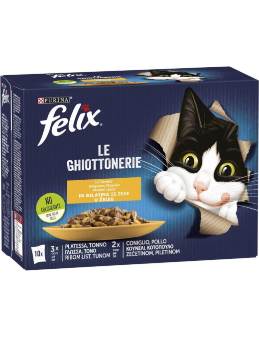 FELIX LE GHIOTTONERIE 10x85gr VARIETA'