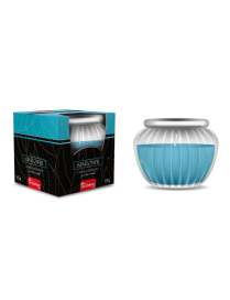 CANDELA IN JAR 85 GR GIRASOLE