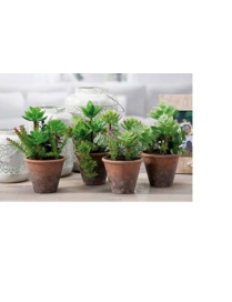 PIANTINA GRASSA ARTIFICIALE CON VASO 12x22 CENTIMETRI