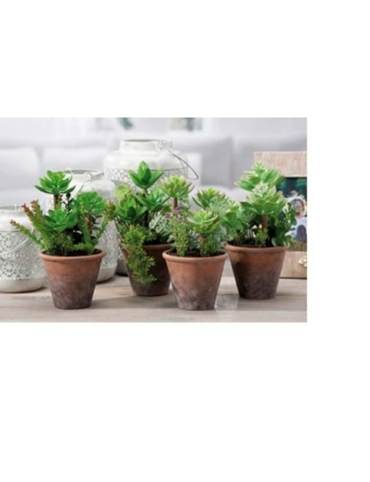 ARTIFICIAL SUCCULENT PLANT WITH 12x22 CENTIMETER POT