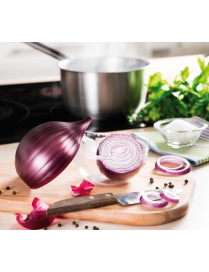 ONION SAVER CONTAINER