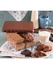 CONTENITORE SALVA BISCOTTI