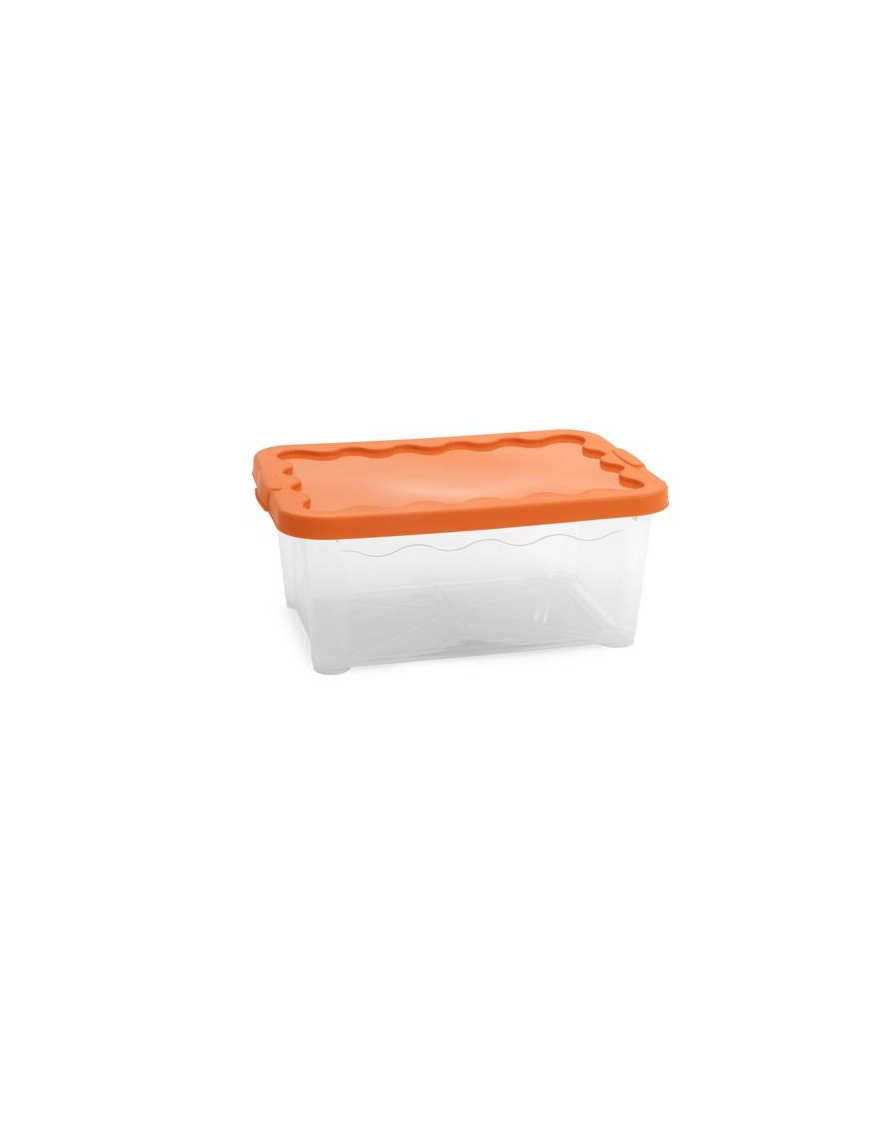 LINEA STORAGE CONTENITORE 40x30x17 CENTIMETRI ARANCIO