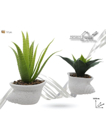 PIANTINA CON VASO TERRACOTTA 22 CENTIMETRI
