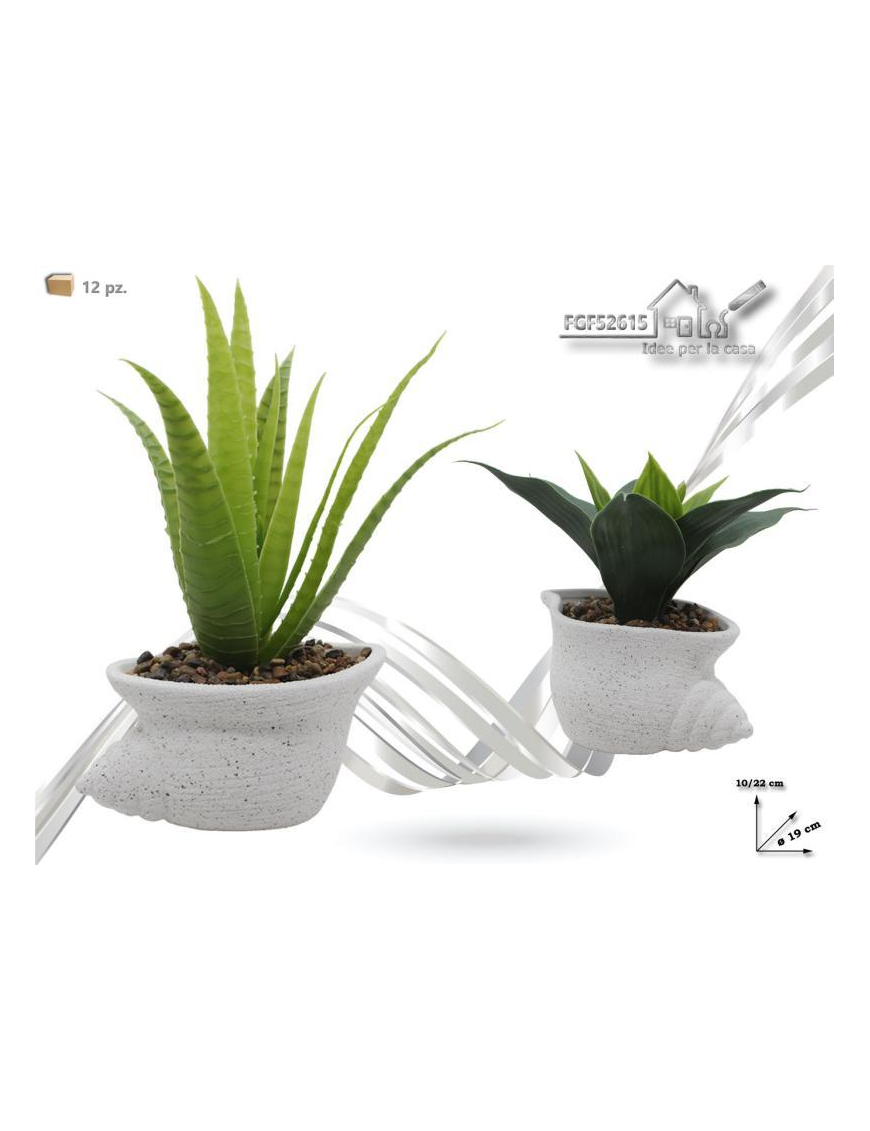 PIANTINA CON VASO TERRACOTTA 22 CENTIMETRI