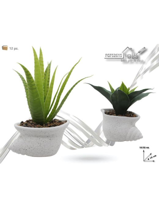 PIANTINA CON VASO TERRACOTTA 22 CENTIMETRI