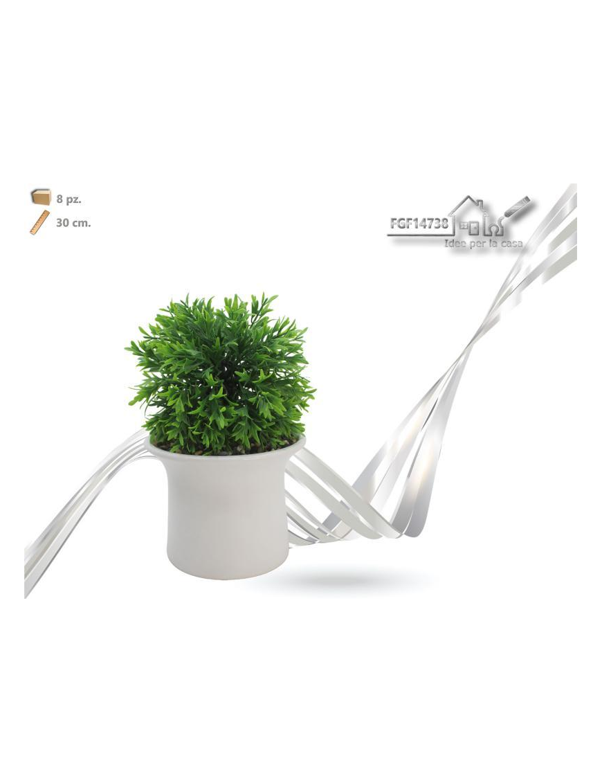 PLANT WITH CERAMIC POT 30cm