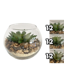 PIANTA GRASSA VASO VETRO  8x6cm
