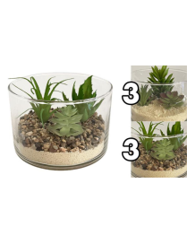 PIANTA GRASSA VASO VETRO 15x10cm