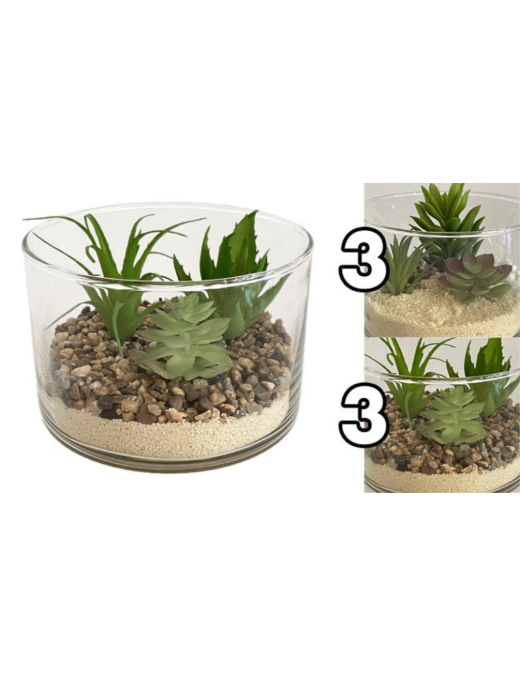 PIANTA GRASSA VASO VETRO 15x10cm