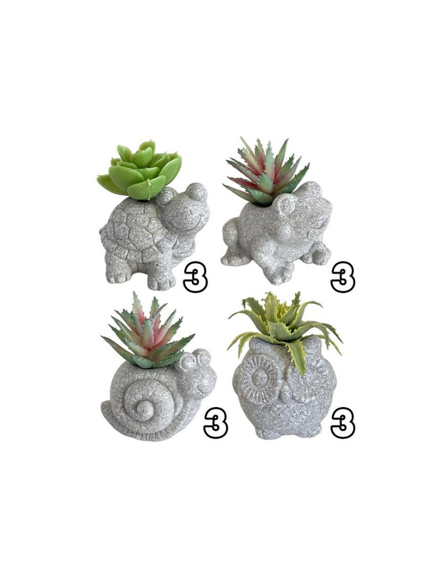 PIANTA GRASSA SMALL FRIEND 7x5x9cm