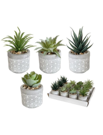 PIANTA GRASSA VASO CEMENTO  5x10cm