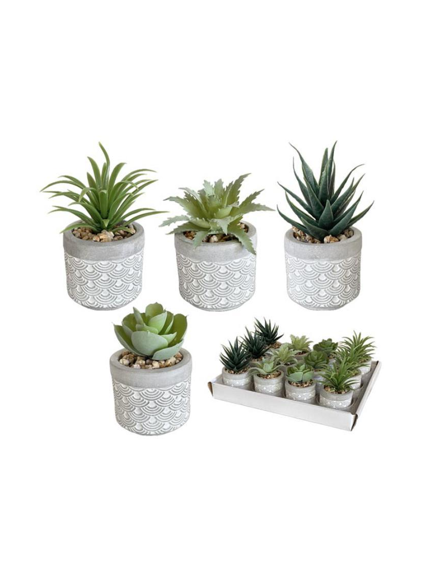 SUCCULENT PLANT IN CEMENT POT 5x10cm