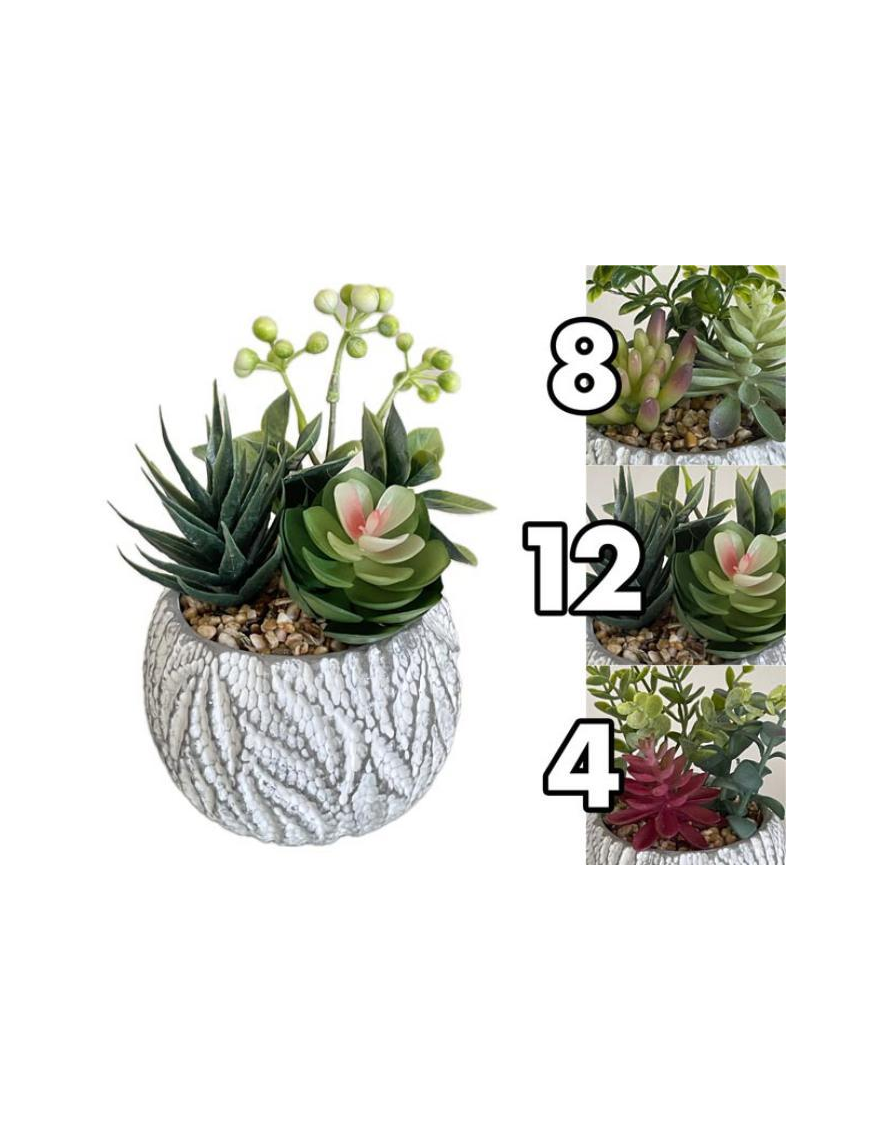 SUCCULENT PLANT IN CEMENT POT 11x16cm