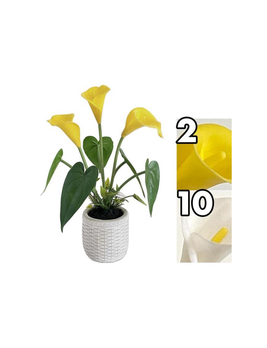PIANTA CALLA 32cm
