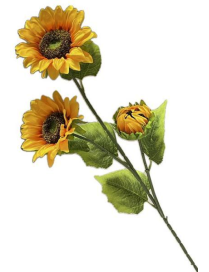 STELO  GIRASOLE GLANCE 90cm