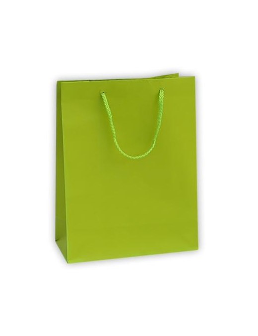 LUXURY LIGHT GREEN COLOR SHOPPER 27x12x37 CENTIMETERS