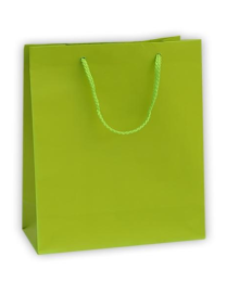 LUXURY LIGHT GREEN COLOR SHOPPER 36x12x41 CM