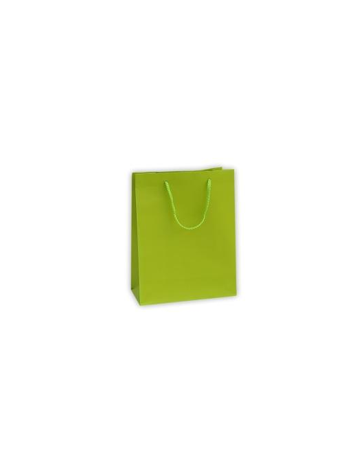LUXURY LIGHT GREEN COLOR SHOPPER 16x8x19 CM