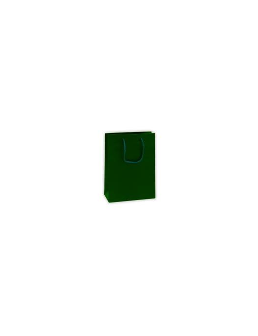 LUXURY GREEN COLOR S. SHOPPER 10x6.5x12 CENTIMETERS