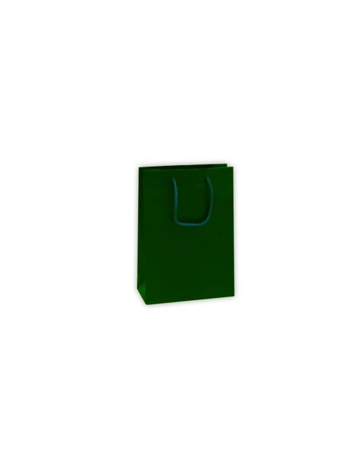 LUXURY GREEN COLOR S. SHOPPER 16x8x19 CENTIMETERS